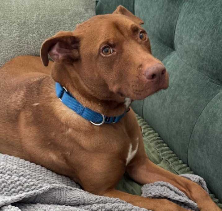 Photo of Missy