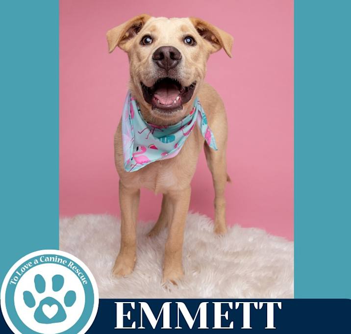 Photo of Emmett (The Roadtrippers) 060725