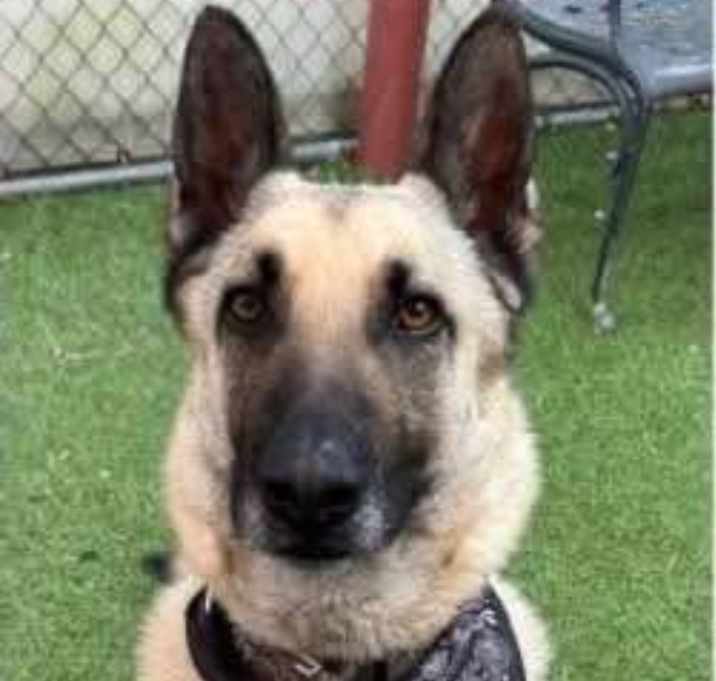 Photo of Major
