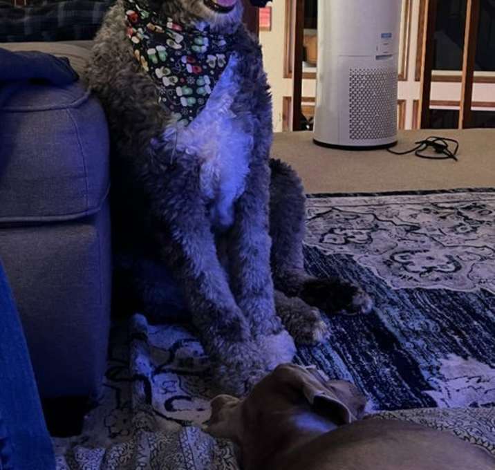 Photo of COOPER