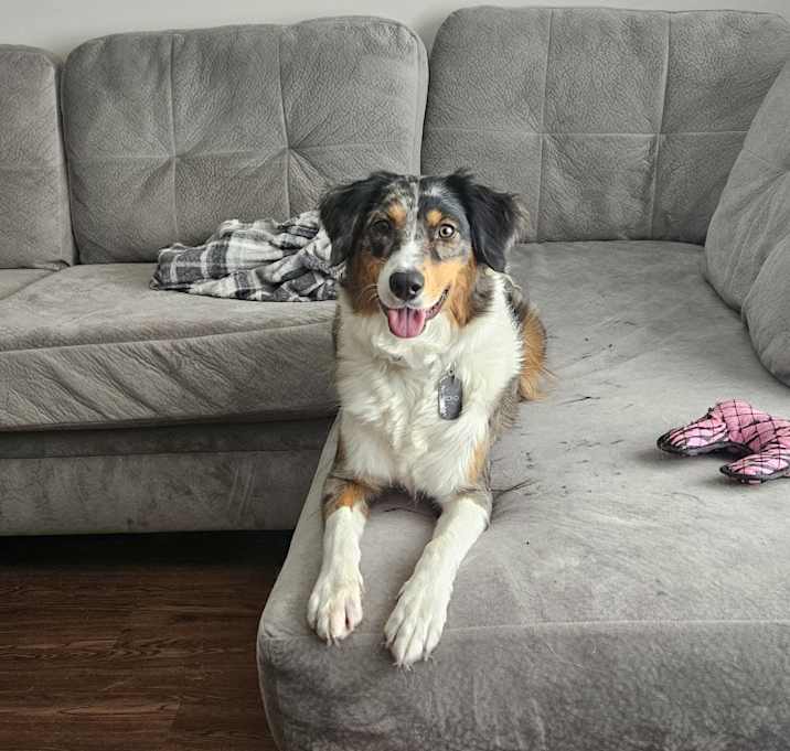 Photo of Echo