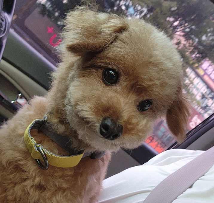 Photo of Lini