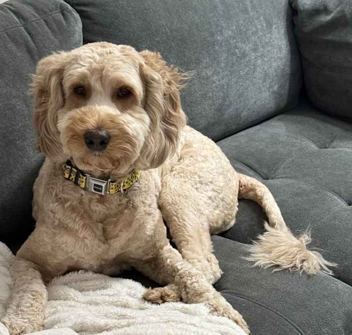 Photo of Millie