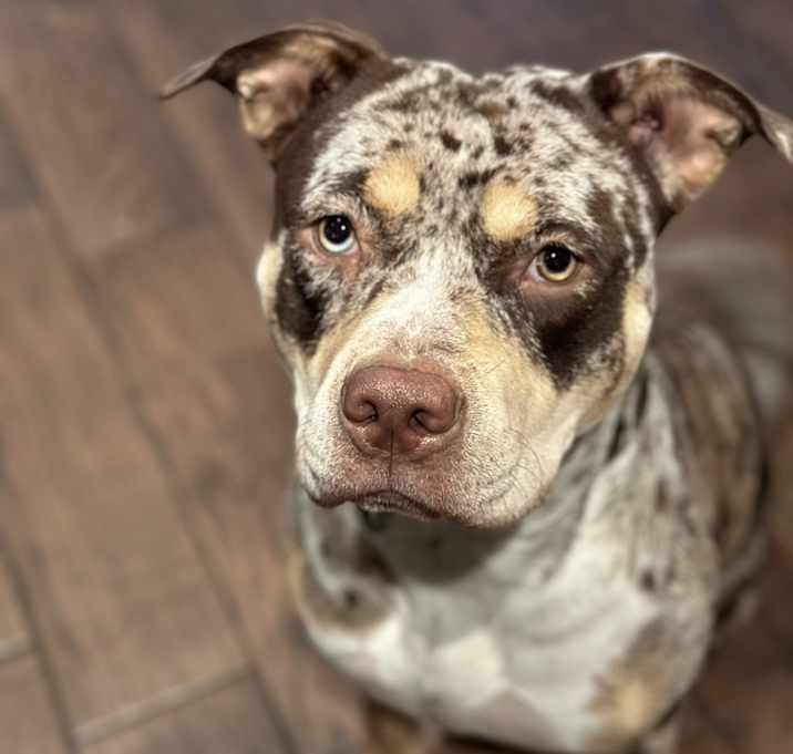 Photo of Ellie