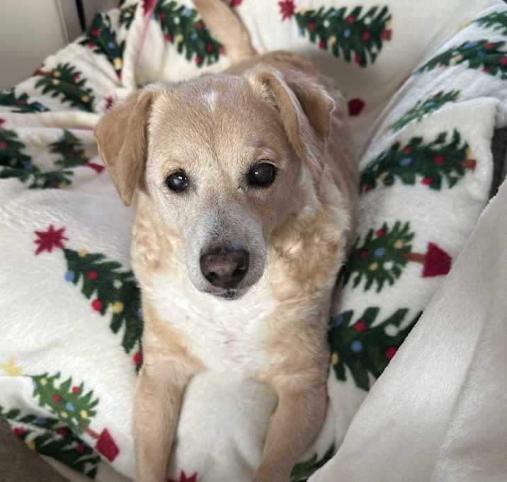 Photo of Sophie