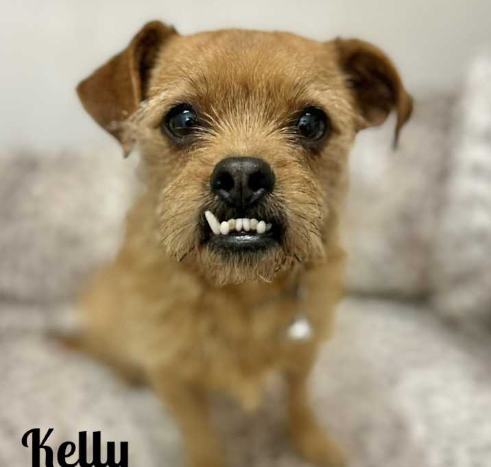 Photo of Kelly meet me 6/21