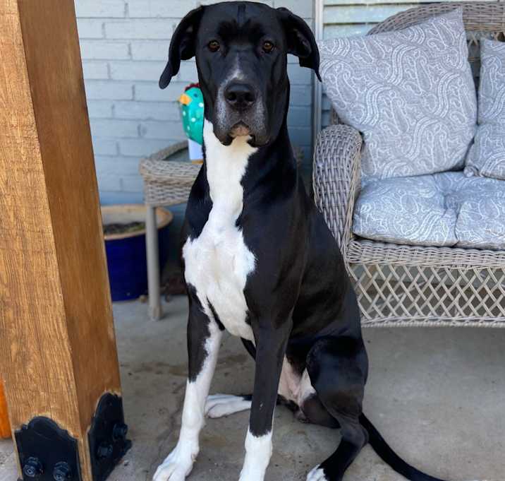Photo of Mabel