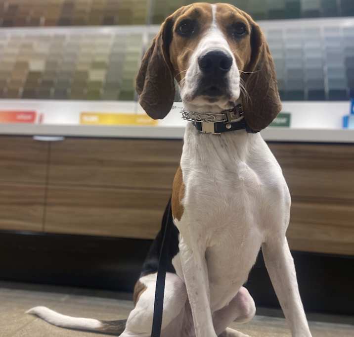Photo of Mabel