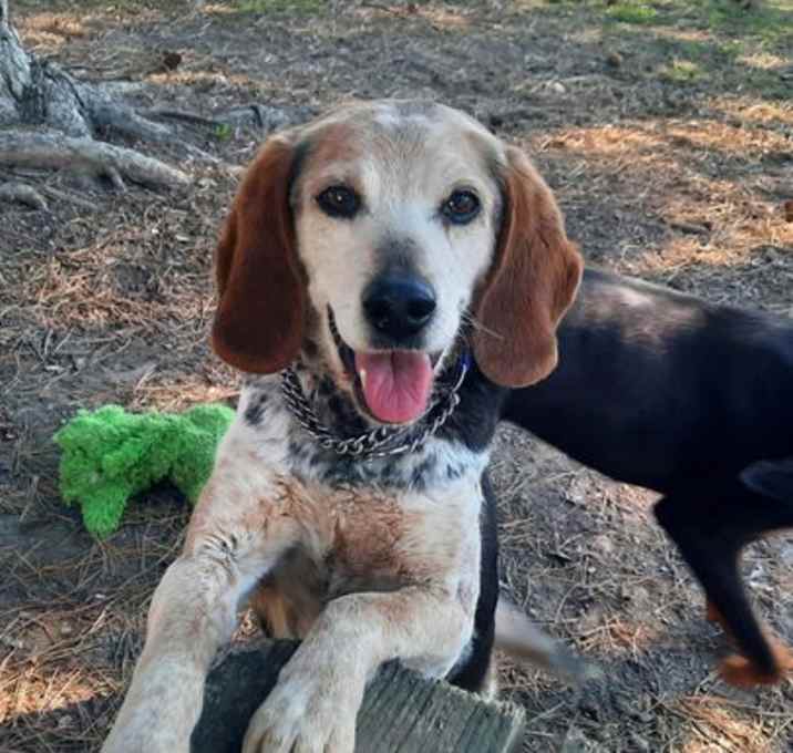 Photo of Dora