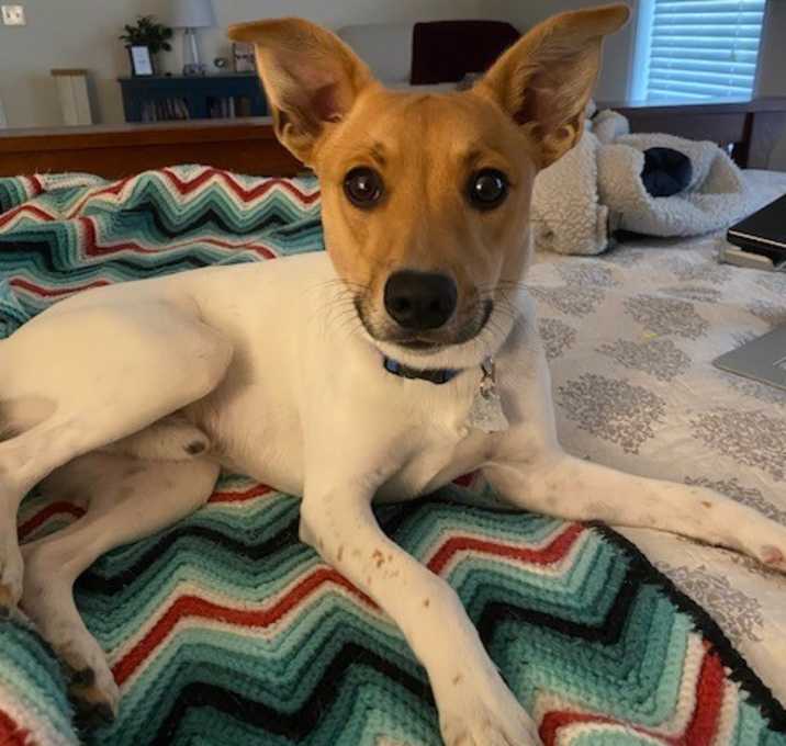 Photo of Sam