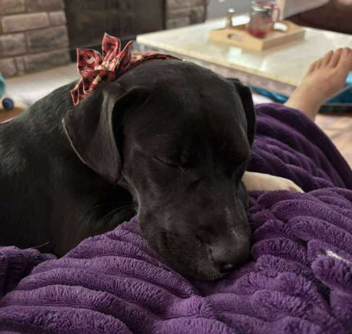 Photo of Sammi Girl