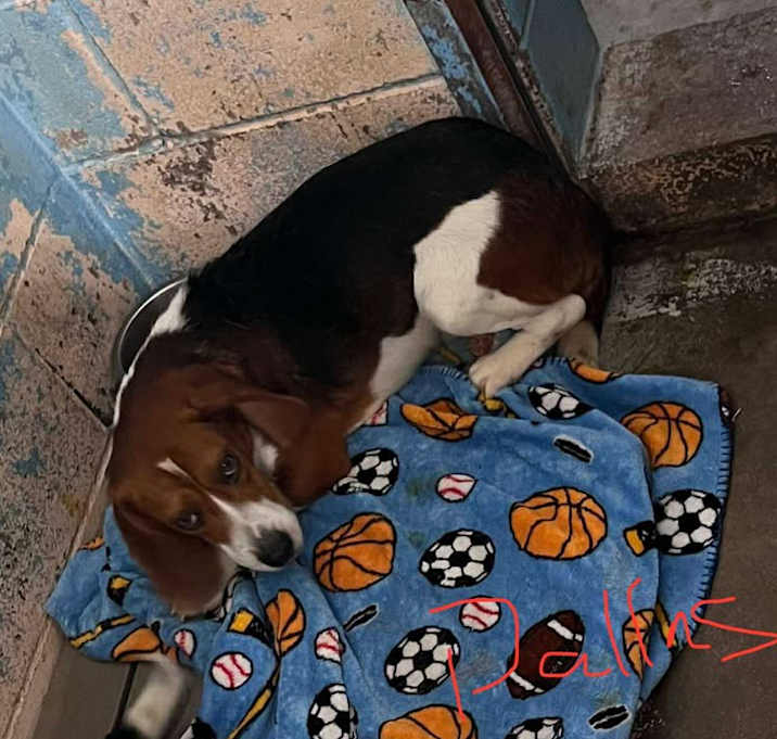 Photo of Victor