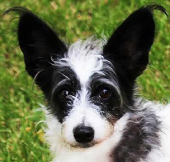 Photo of BABY (SO SAD!!)