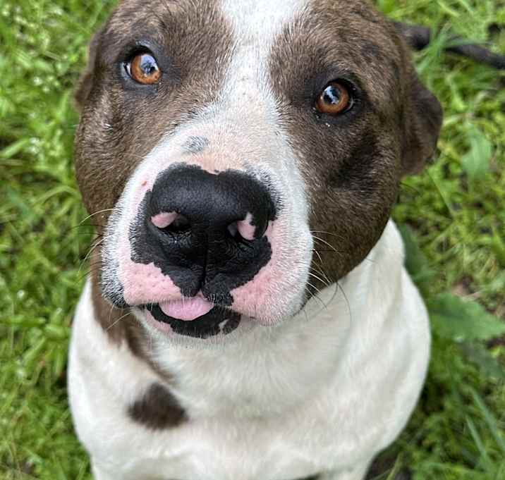 Photo of Big Boy
