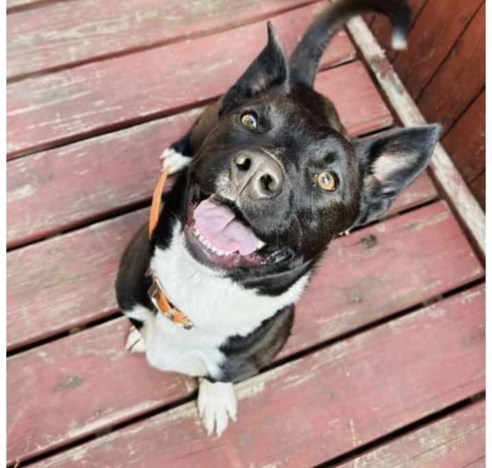 Photo of Cash