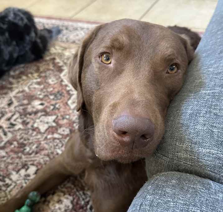 Photo of Blue