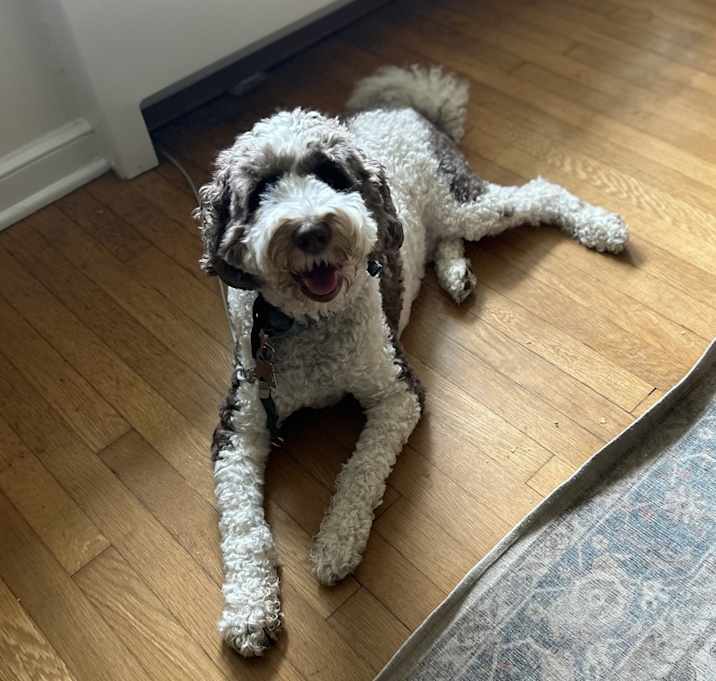Photo of Bruce