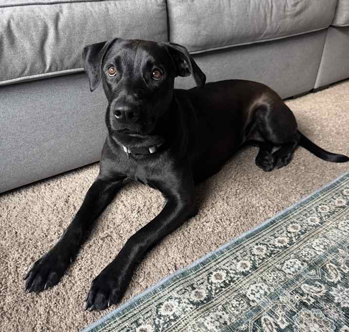 Photo of Ellie