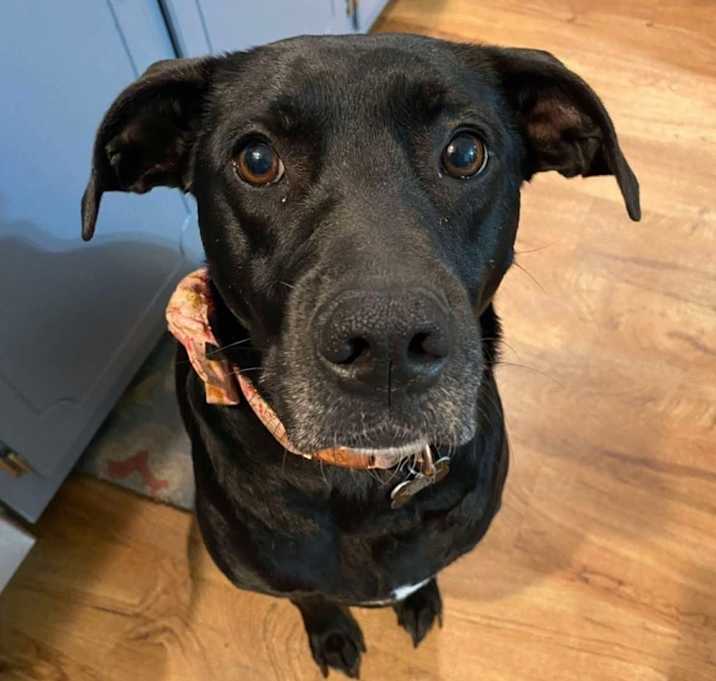 Photo of Addie