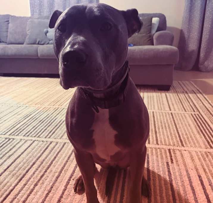Photo of Blue