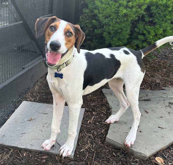 Photo of Venkman