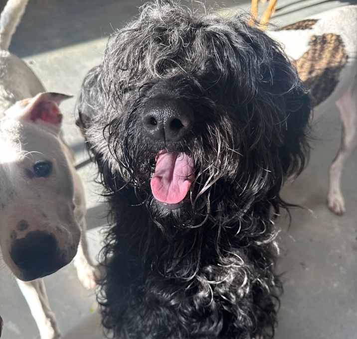 Photo of Luna