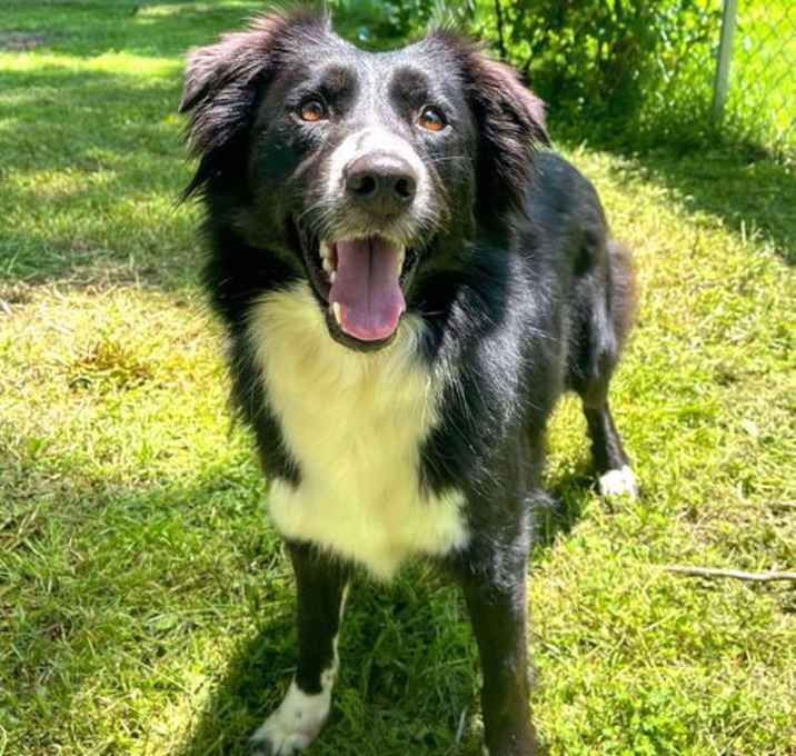 Photo of Soleil