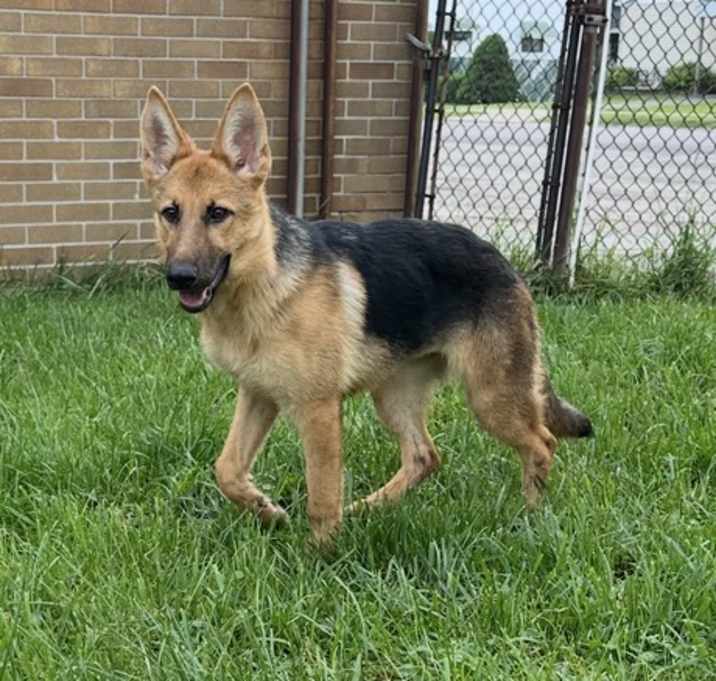 Photo of Roxie