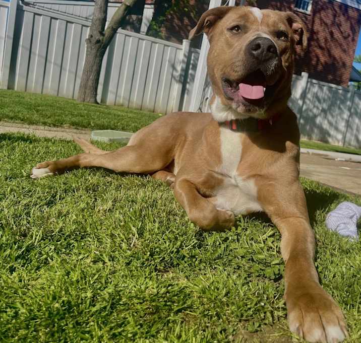 Photo of Maya
