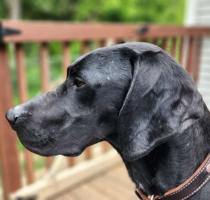 Photo of Jack