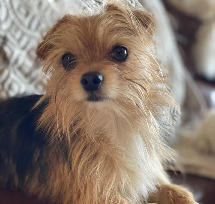 Photo of REBEL