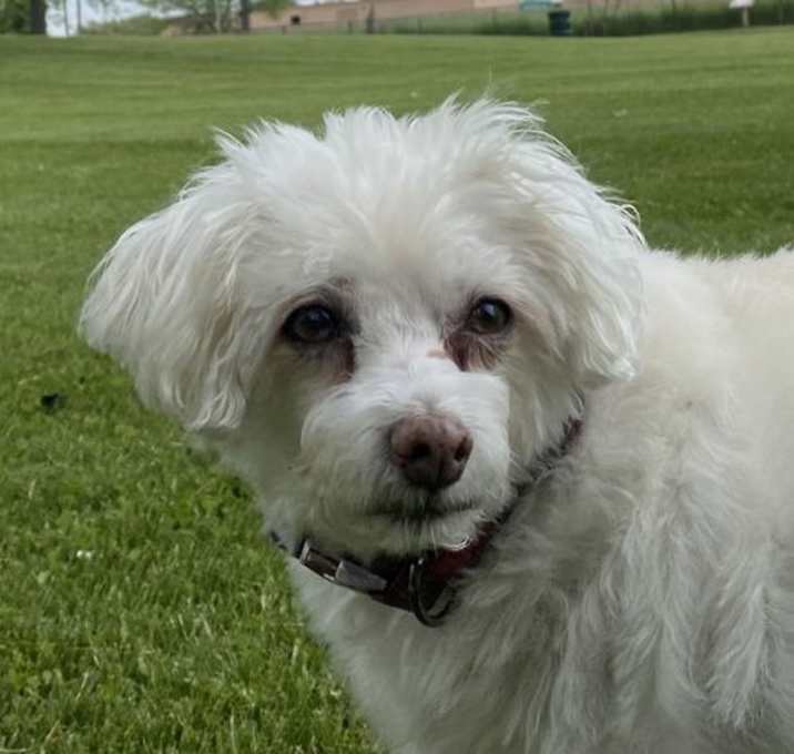 Photo of Roxie