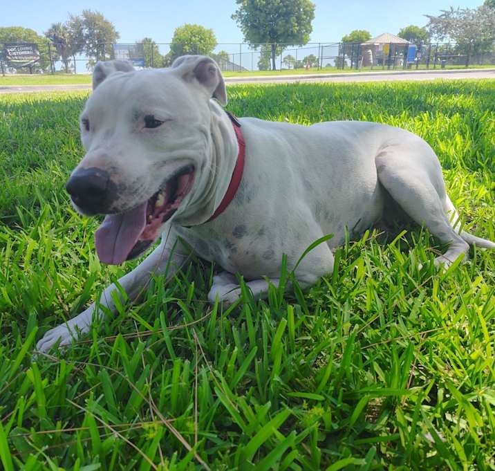 Photo of Cash