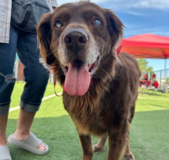 Photo of Shaggy