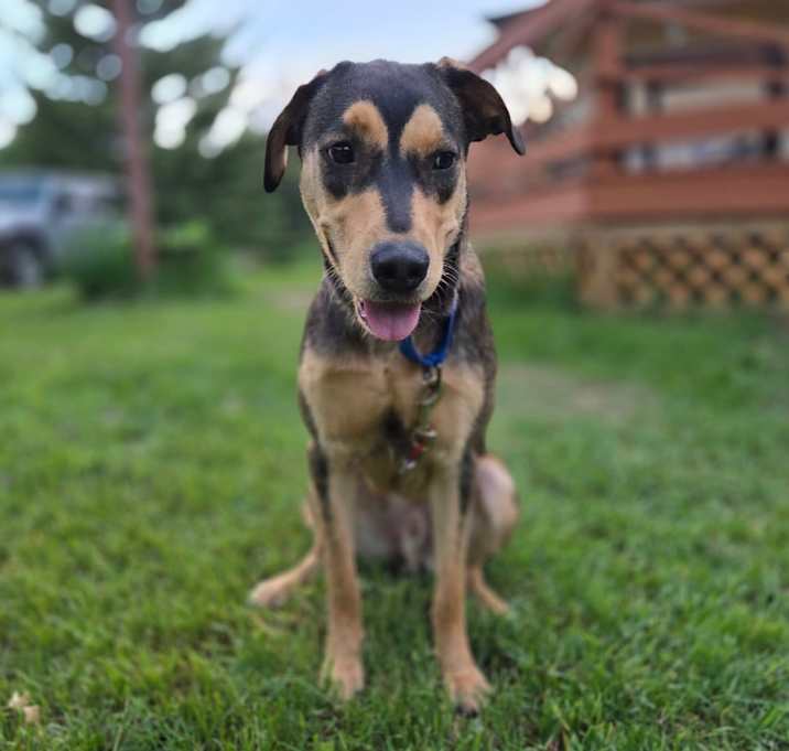 Photo of Charlie - lover boy 
