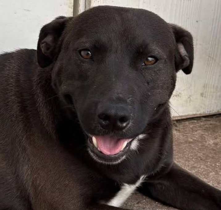 Photo of Jet