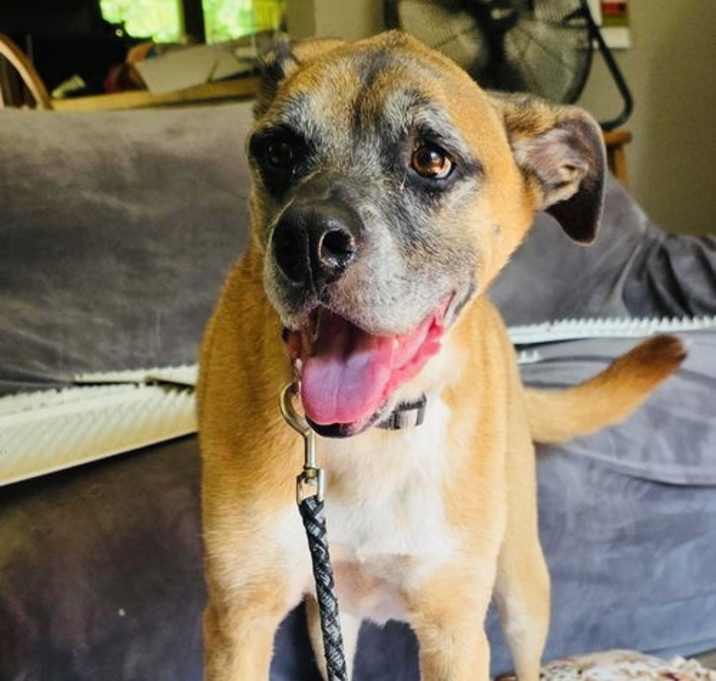 Photo of Tyson