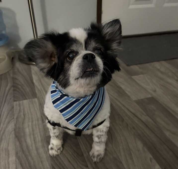 Photo of Bill