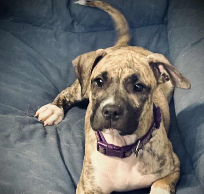 Photo of Cora