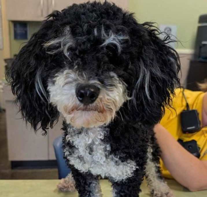 Photo of Finley