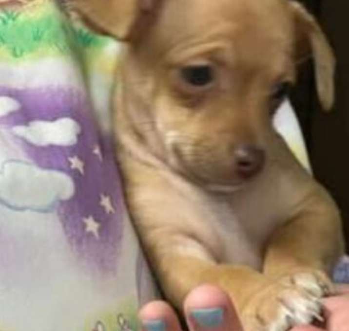 Photo of Kiki