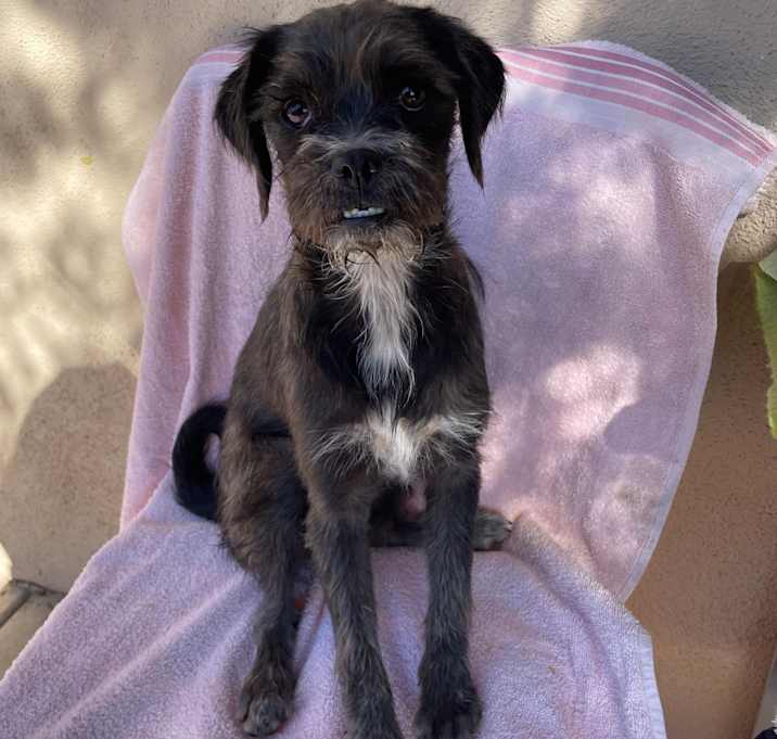 Photo of Kiki