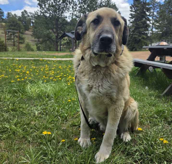 Photo of Stoic