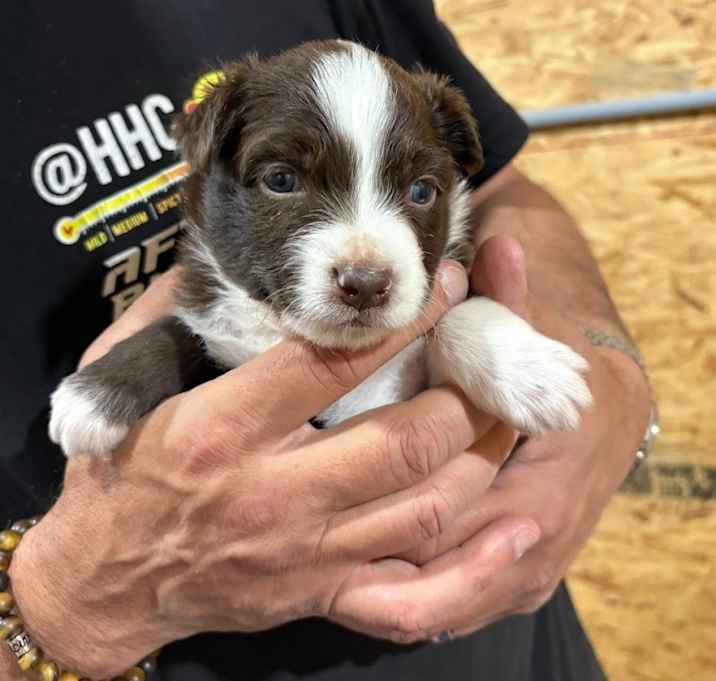 Photo of Winifred