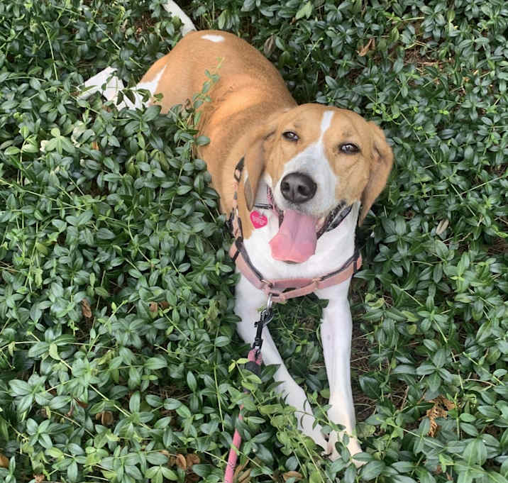 Photo of Molly