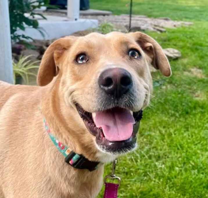 Photo of Willow