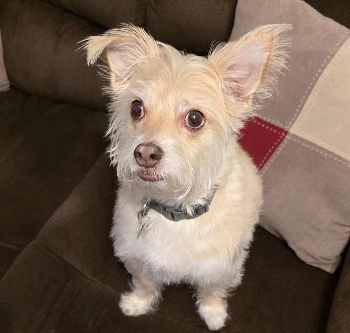 Photo of Doc