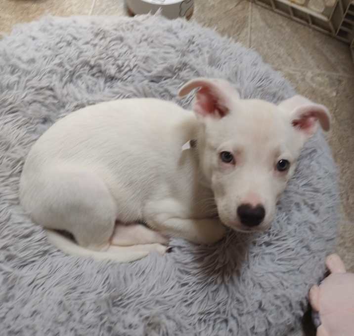 Photo of Max