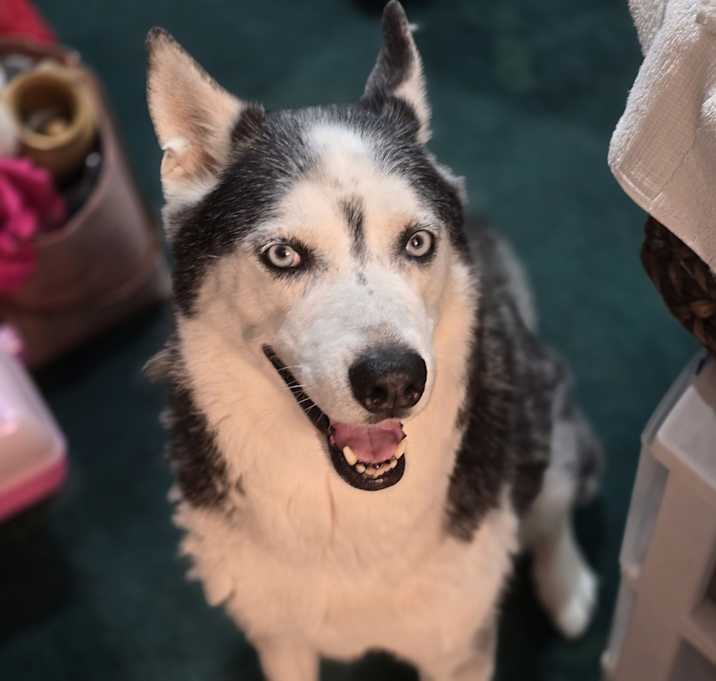 Photo of Zeus