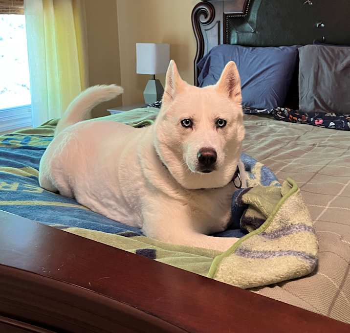 Photo of Willow